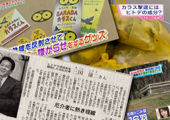 メディア紹介実績