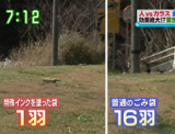 す・またん！ZIP