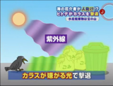 スーパーJチャンネル