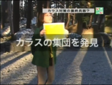 Hanaテレビ
